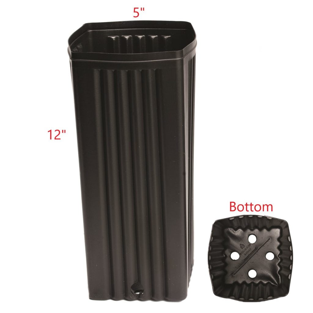 Treepots & Trays Stuewe & Sons