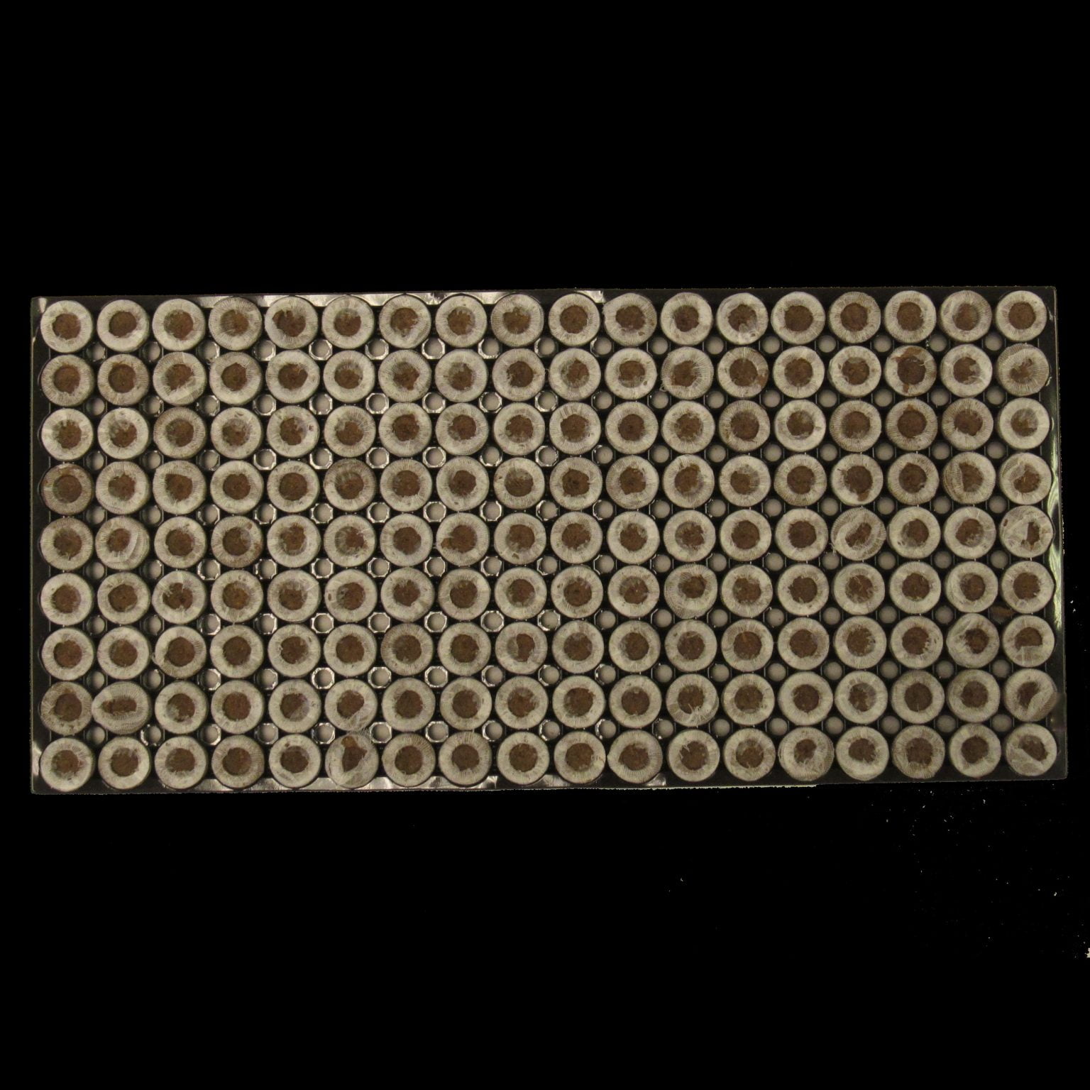 Jiffy® Forestry Pellets Stuewe & Sons