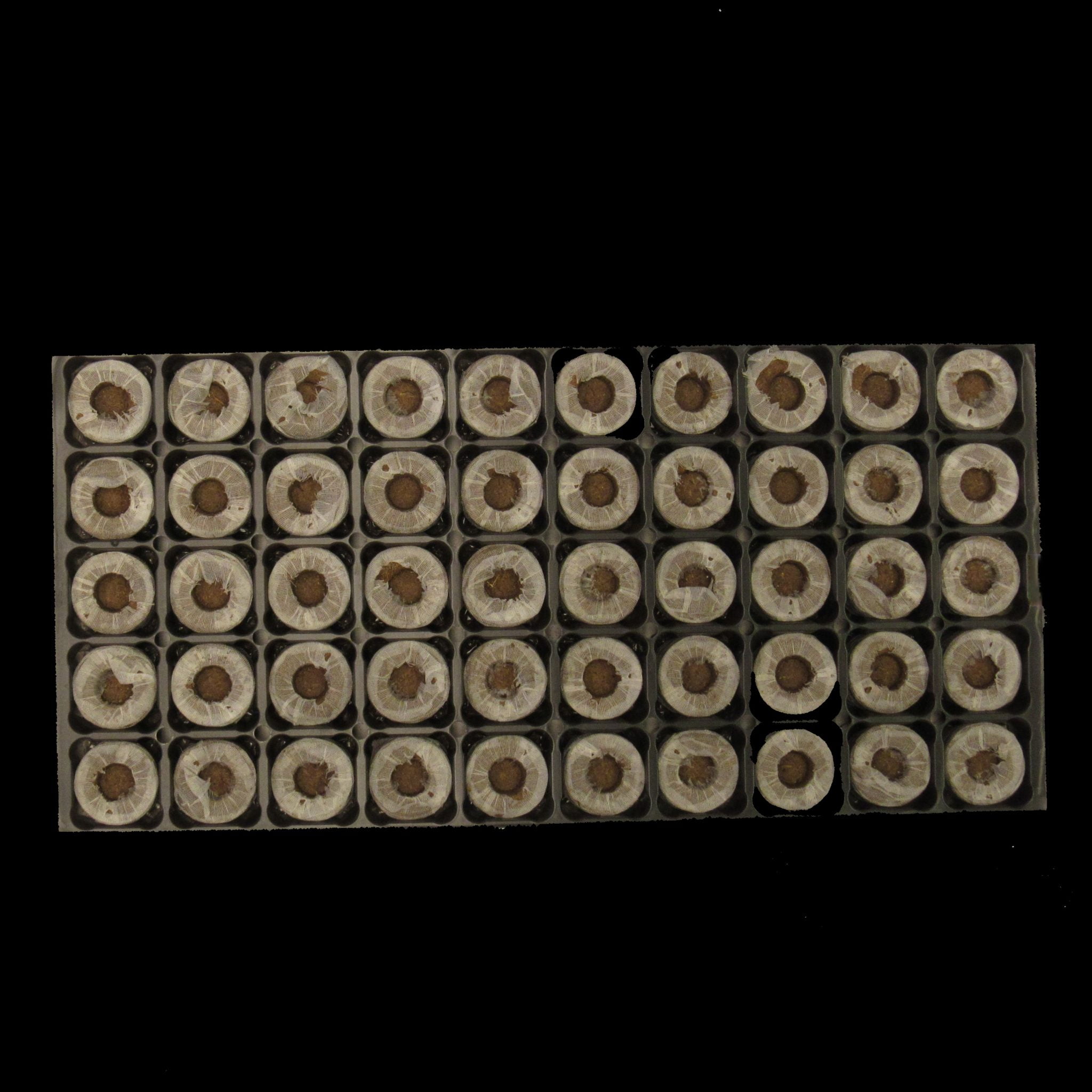 Jiffy® Forestry Pellets J42100 Jiffy 42100 Stuewe & Sons