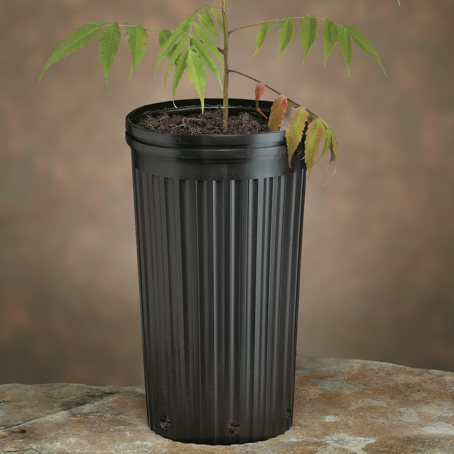 Treepots™ & Trays TP915R 9 x 15.5" Treepot Stuewe & Sons