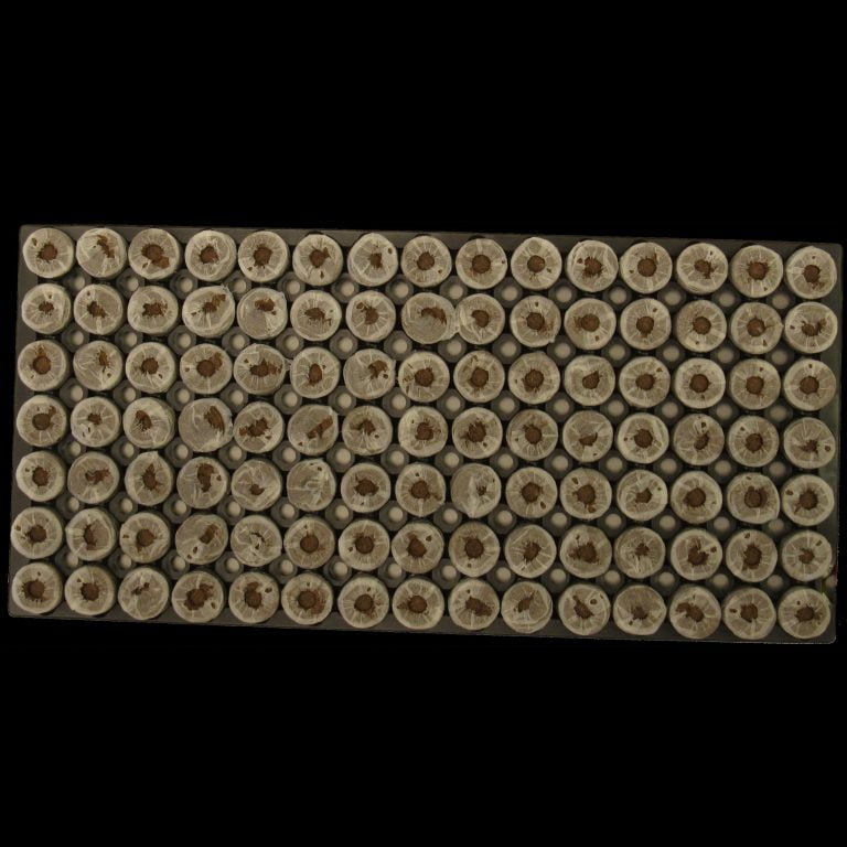 Jiffy® Forestry Pellets Stuewe & Sons