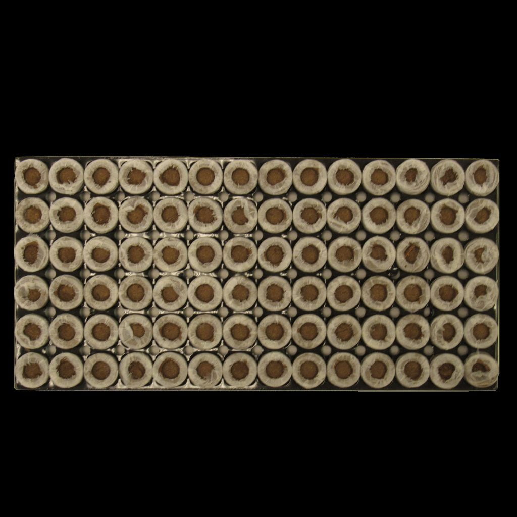 Jiffy® Forestry Pellets J36100 Jiffy 36100 Stuewe & Sons