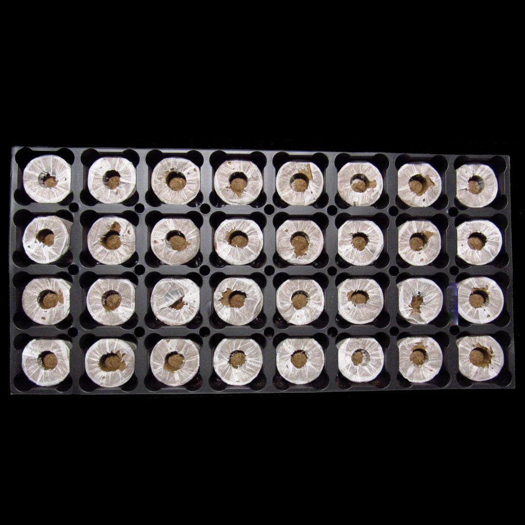 Jiffy® Forestry Pellets J50100 Jiffy 50100 Stuewe & Sons