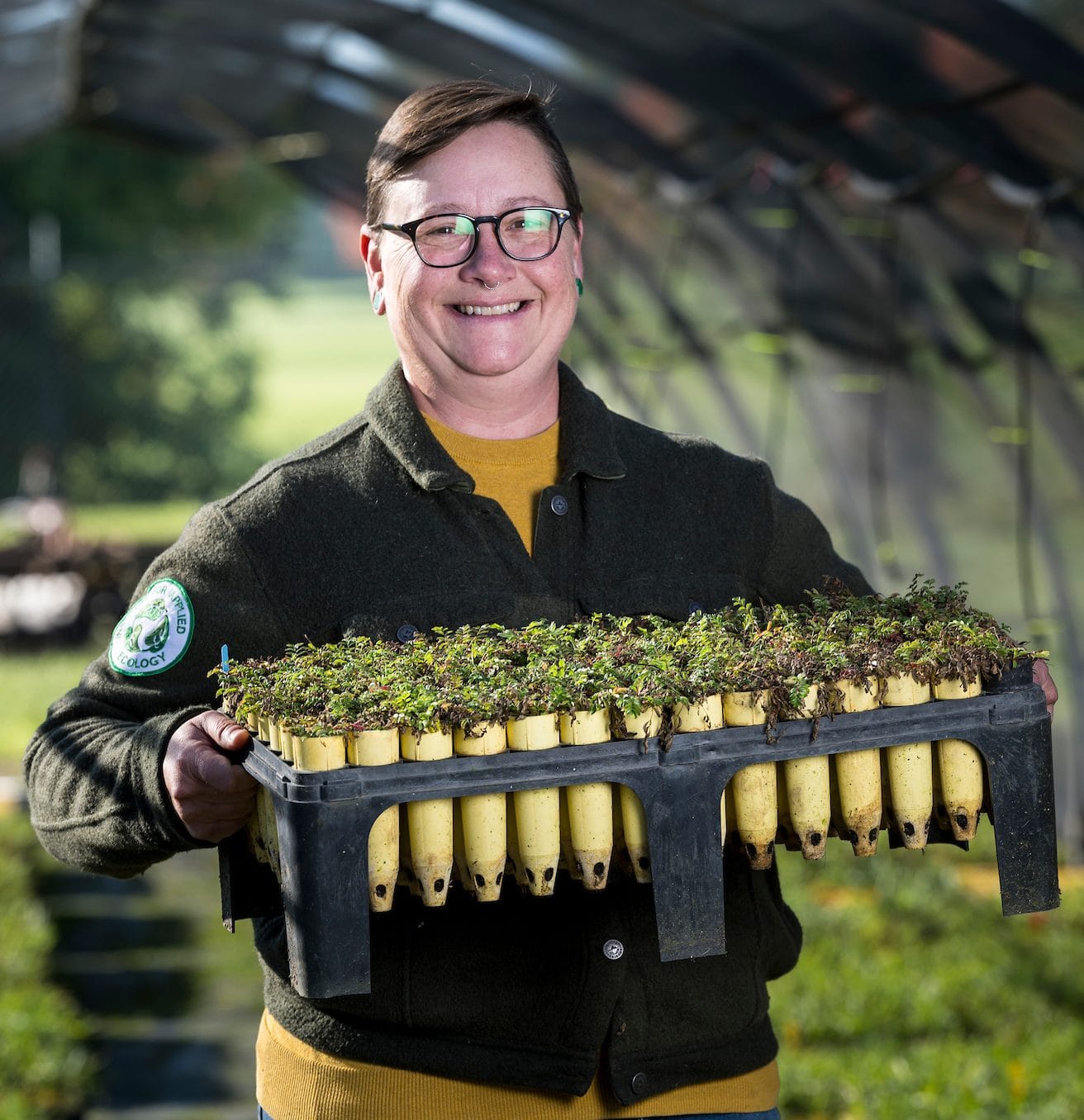 RL98K7U - RL98 TRAY WITH SC7UV CELLS KIT - Image 2